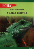 Agama błotna
