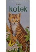 Mały kotek
