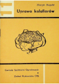Uprawa kalafiorów