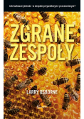 Potęga niedoskonałości