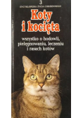 Koty i kocięta