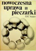 Nowoczesna uprawa pieczarki