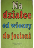 Na działce od wiosny do jesieni