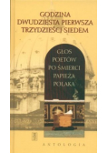 Godzina dwudziesta pierwsza trzydzieści siedem