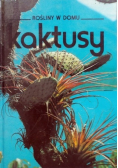 Kaktusy rośliny w domu