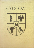 Głogów. Zarys monografii miasta