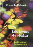 Jak kwiat do słońca