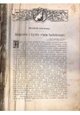Kobieta lekarką domową, 1908 r.