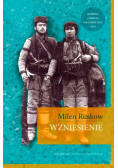 Wzniesienie