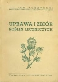 Uprawa i zbiór roślin leczniczych, 1947r.