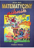 Matematyczny piknik