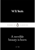 A Terrible beauty is born