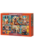 Puzzle 2000 Venetian Still Life CASTOR