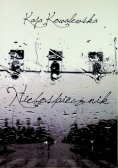 Niebospiecznik