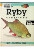 Ryby akwariowe Fakty Ciekawostki Porady akwarium