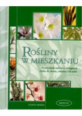 Rośliny w mieszkaniu