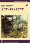 Kuraki leśne 4