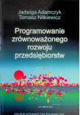 Programowanie zrównoważonego rozwoju przedsiębiorstw