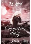 Raven Tom 3 Symetria dusz