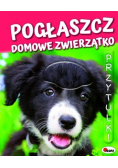 Pogłaszcz domowe zwierzątko Przytulki