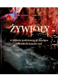 Żywioły