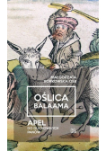 Oślica Balaama