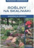 Poradnik ogrodnika Rośliny na skalniaki