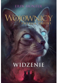 Wojownicy Potęga trójki Widzenie