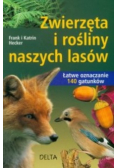 Zwierzęta i rośliny naszych lasów