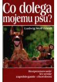 Co dolega mojemu psu