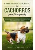 Entrenamiento Positivo De Cachorros Para Principiantes