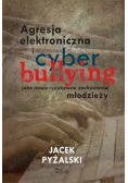 Agresja elektroniczna i cyberbullying jako nowe ryzykowne zachowania młodzieży