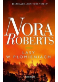 Lasy w płomieniach