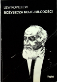 Bożyszcza mojej młodości