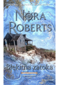 Saga rodu Quinnów Tom 4 Błękitna zatoka
