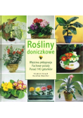 Rośliny doniczkowe