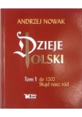 Dzieje Polski Tom 1 Do 1202 Skąd nasz ród