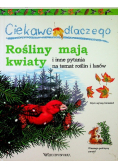 Ciekawe Dlaczego Rośliny Mają Kwiaty