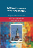 Poznań w nazwach, nazwy w Poznaniu