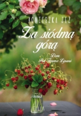Dom Pod Trzema Lipami Za siódmą górą