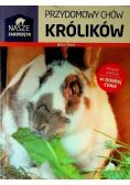Nasze zwierzęta Przydomowy chów królików