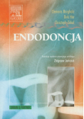 Endodoncja