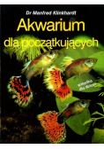 Akwarium dla początkujących