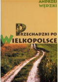Przechadzki po wielkopolsce