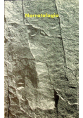 Narratologia
