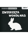 Zwierzęta wokół nas Książeczki kontrastowe