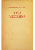 Rosja podziemna