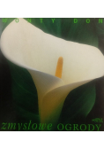 Zmysłowe ogrody
