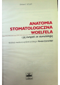 Anatomia stomatologiczna Woelfela i jej związek ze stomatologią