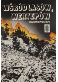 Wśród lasów wertepów